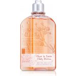 L'Occitane Fleurs de Cerisier sprchový gel 250 ml – Hledejceny.cz