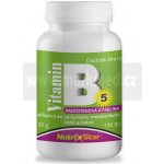 Nutristar Kyselina pantothenová B5 40 mg 100 tablet – Hledejceny.cz