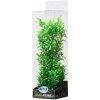 Akvarijní rostlina I--Z ATG Premium rostlina střední 26 až 32 cm 416