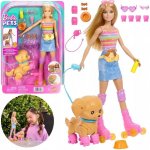 Mattel Barbie a pejsek na kolečkových bruslích JMJ44 – Hledejceny.cz