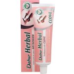 Dabur Cavity Protection s Hřebíčkem 100 ml – Zbozi.Blesk.cz