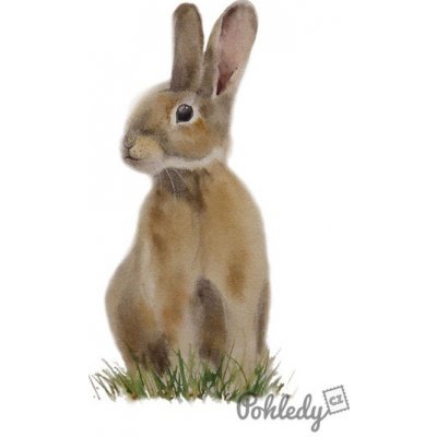 Pohlednice Králíček – Sleviste.cz