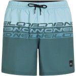 O'Neill Cali stripe 16'' tmavě zelené – Zboží Dáma