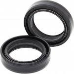 Gufera přední vidlice All Balls Racing FS55-108 35x48x11 | Zboží Auto