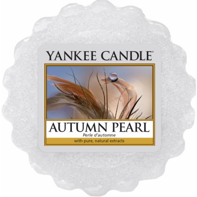 Yankee Candle vonný vosk Autumn Pearl Podzimní perla 22 g – Zboží Mobilmania