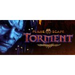 Planescape: Torment (Enhanced Edition) – Zboží Živě