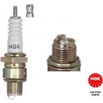 Zapalovací svíčka NGK R5525-11 – Hledejceny.cz