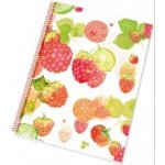 Blok College bezdřevý A4 linka 50 listů – Zboží Živě