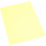 Barevný kopírovací papír chamois A2 80g 250 archů – Hledejceny.cz