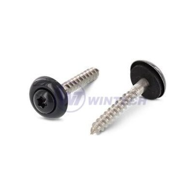 Klemp.šroub + EPDM, RAL 7016 4,5 x 35 A2 / balení 200 ks – Sleviste.cz