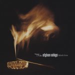Afghan Whigs - Black Love CD – Hledejceny.cz