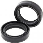 All Balls Racing, sada tesnení vidlice. 35 mm vidlice – Zboží Mobilmania