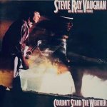 Couldn't Stand the Weather - Stevie Vaughan Ray & Double Trouble CD – Hledejceny.cz