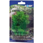 Hobby Egeria 13 cm – Sleviste.cz