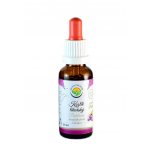 Salvia Paradise Kozlík lékařský - baldrián AF tinktura 30 ml – Hledejceny.cz
