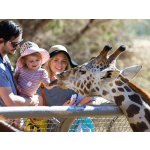 Rodinný pobyt v Grand Hotelu Imperial**** – Sleviste.cz