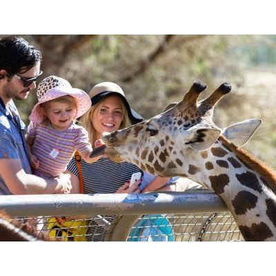 Rodinný pobyt v Grand Hotelu Imperial**** – Sleviste.cz