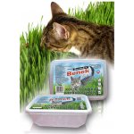 Super Benek Rychle rostoucí tráva 150 g – Sleviste.cz