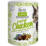 Brit Care Cat Snack Superfruits Chicken 100 g – Zboží Mobilmania