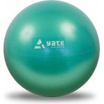 KINE-MAX PROFESSIONAL GYM BALL - 65 cm – Hledejceny.cz