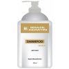 Šampon L'Oréal Expert Absolut Repair Gold Quinoa Shampoo 500 ml