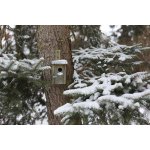 Esschert Design Budka Best for Birds pro Střízlíka obecného 11 x 14 x 25 cm přírodní – Hledejceny.cz