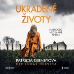Ukradené životy - Gibneyová Patricia – Sleviste.cz