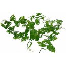 Lucky Reptile Jungle Vine Gape Leaf Vine 200 cm