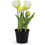 Prima-obchod Umělé tulipány v květináči, barva 6 (25 cm) bílá