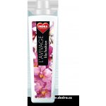 Dedra avivážní kondicionér lila fashion 750 ml – Hledejceny.cz