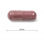 Jamieson Brusinky Komplex 500 mg 60 kapslí – Hledejceny.cz