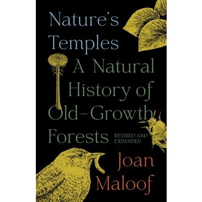 Natures Temples: A Natural History of Old-Growth Forests Revised and Expanded Maloof JoanPaperback – Hledejceny.cz