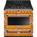 Smeg TR90DGC9 – Zboží Dáma