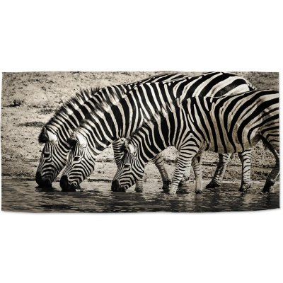 SABLIO Ručník - Zebry u vody 30x50 cm – Zboží Mobilmania