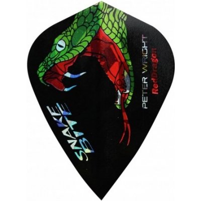 Red Dragon Peter Wright Snakebite Holographic Kite RF3061 – Sleviste.cz