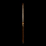 Segula LED žárovka E27 6W 100cm 2 200K čirá 55161 – Hledejceny.cz
