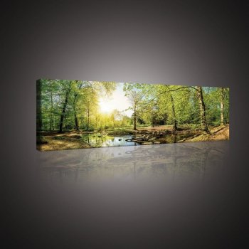 Postershop Obraz na plátně: Lesní potok (3) - 145x45 cm