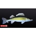 Gaby Polštář Candát Obecný 75cm – Zboží Dáma