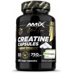 Amix Black Line Creatine Creapure Capsules 120 kapslí – Zboží Dáma