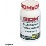 Giom Chondro L-karnitin 200 g – Hledejceny.cz