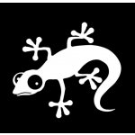 Samolepka (na auto, notebook) ještěrka (bílá) 6 – Zboží Živě