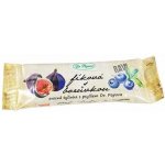 Natural Bars Fíková tyčinka Raw 40 g – Zboží Dáma