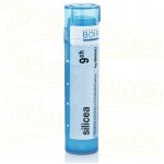 SILICEA POR 9CH GRA 4G – Hledejceny.cz
