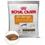 Royal Canin Energy snacky 4 x 50 g – Hledejceny.cz