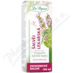 Dr.Popov Lymfa detox originální bylinné kapky 100 ml – Hledejceny.cz