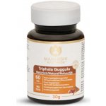 Maharishi Ayurveda Triphala Guggulu 60 tablet – Hledejceny.cz