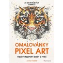 Omalovánky Pixel Art - Tajemství barev a tvarů - Webster Joanna