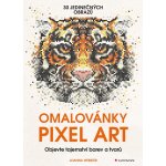 Omalovánky Pixel Art - Tajemství barev a tvarů - Webster Joanna – Zboží Mobilmania