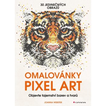 Omalovánky Pixel Art - Tajemství barev a tvarů - Webster Joanna