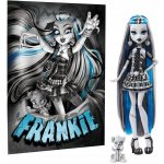 Mattel Monster High Reel Drama Frankie Stein 27 cm – Zboží Dáma